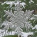 Laced Snowflake, silikonform (277)